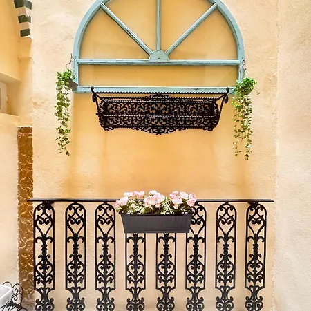 Homestay Palace House Hercules